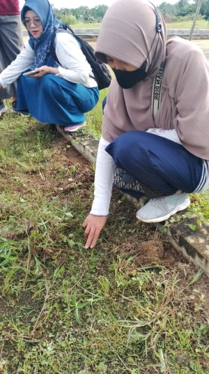 blog-post